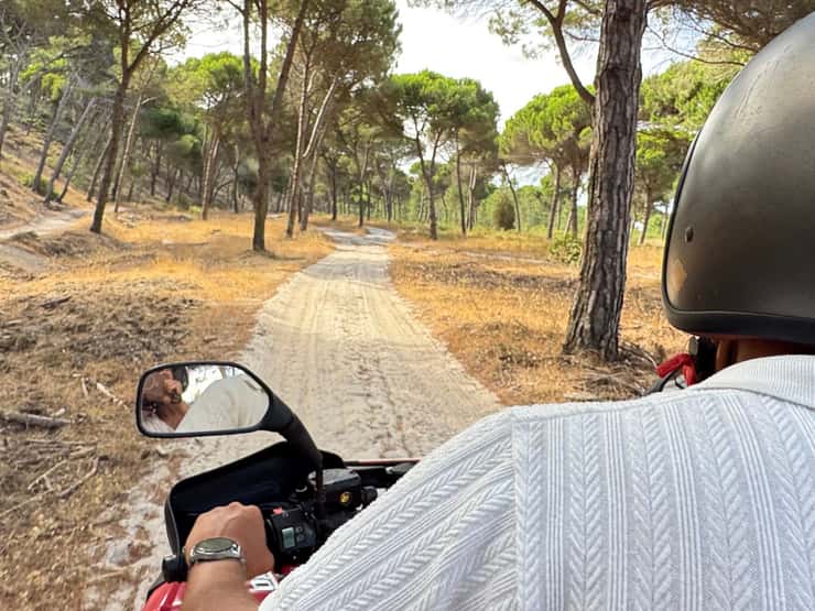 View from a quad along a sandy pine forest trail